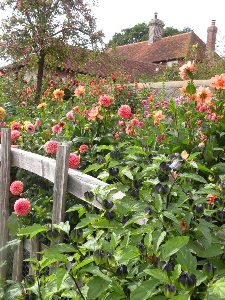 Op bloemenreis met Marieke Nolsen