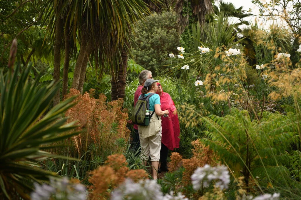 Tuinreis naar Exmoor