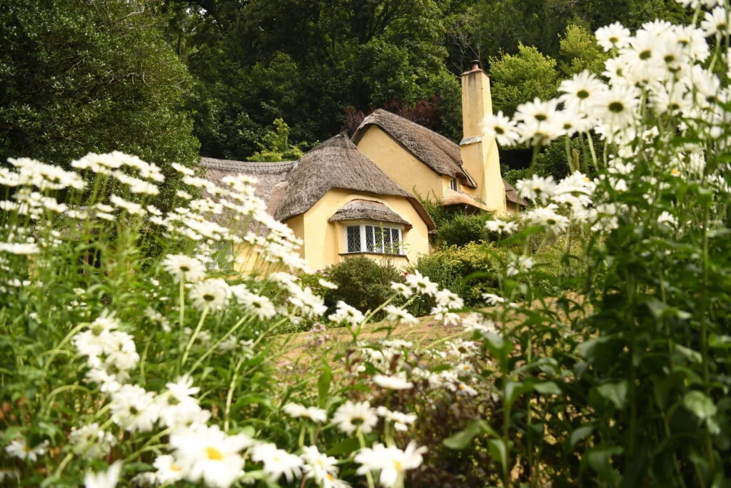 Tuinreis naar Exmoor