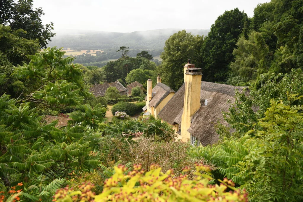 Tuinreis naar Exmoor