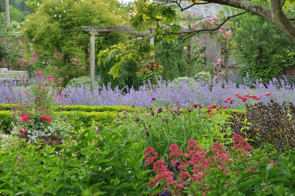 Tuinreis naar Devon