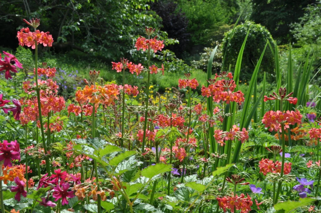 Tuinreis naar Devon