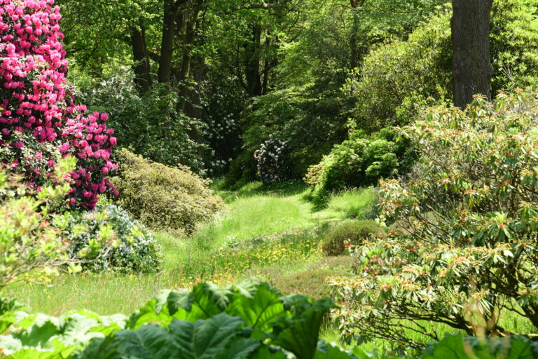 Chelsea Flower Show