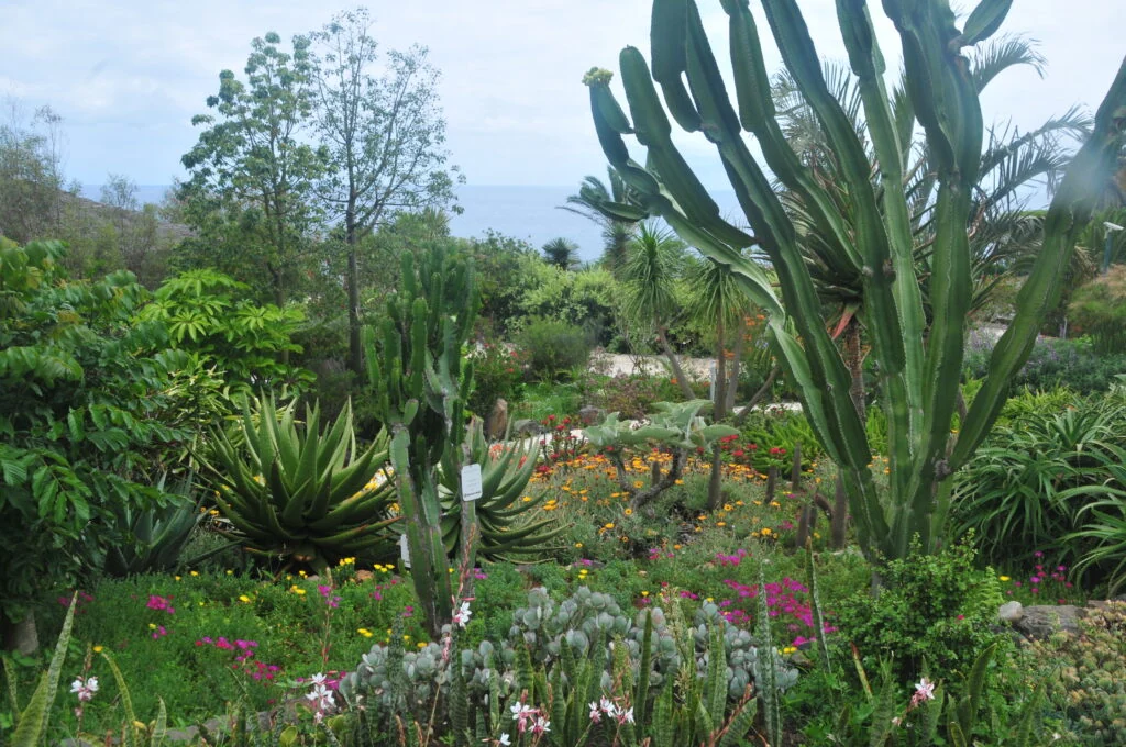 Tuinreis naar Madeira