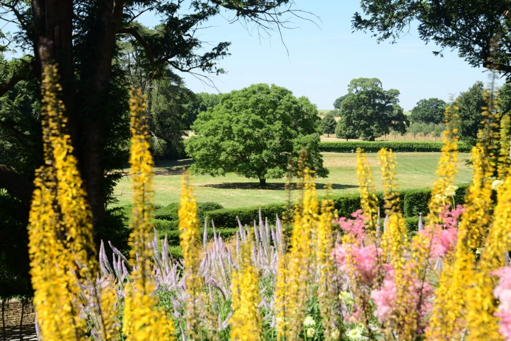 Tuinreis naar Exmoor