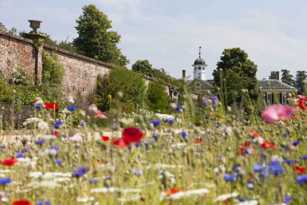 Tuinreis Surrey