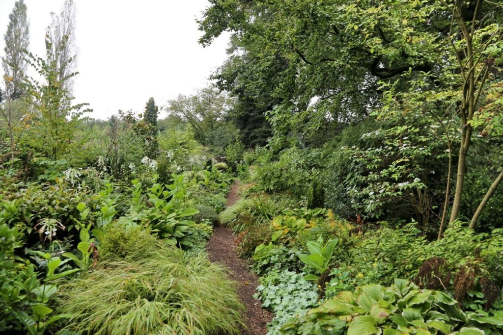 Groene oases langs de Rijn