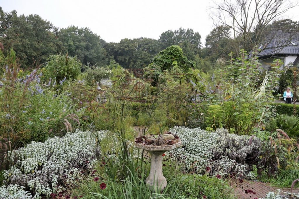 Groene oases langs de Rijn