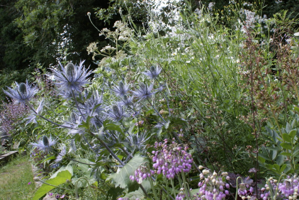 Tuinreis naar Hampshire