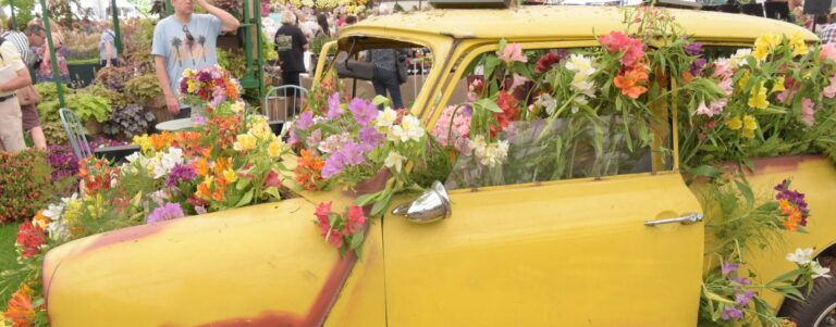 Hampton Court Flower Show