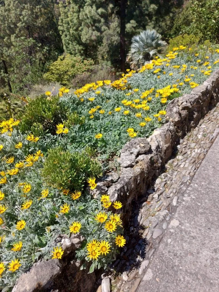 Côte d’Azur