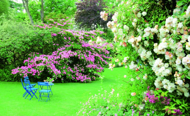 Welp Tuinreizen naar Frankrijk maken? » Boek nu bij Garden Tours UR-65