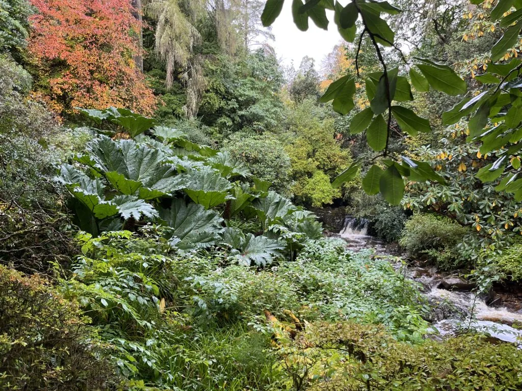 Schotland in herfstkleuren