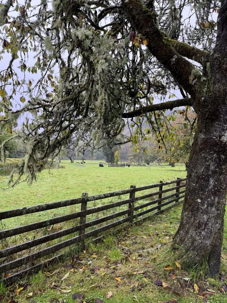 Schotland in herfstkleuren