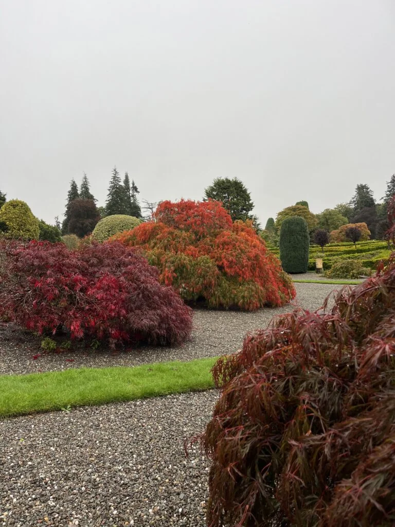 Schotland in herfstkleuren