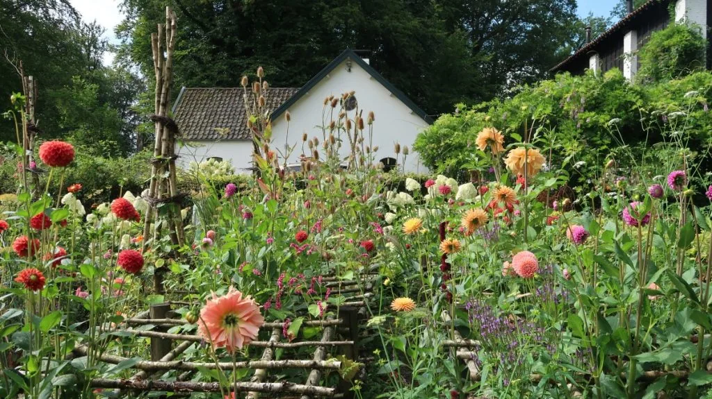 Op bloemenreis met Marieke Nolsen