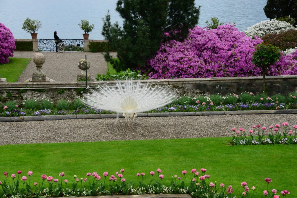 Tuinreis Italiaanse Meren