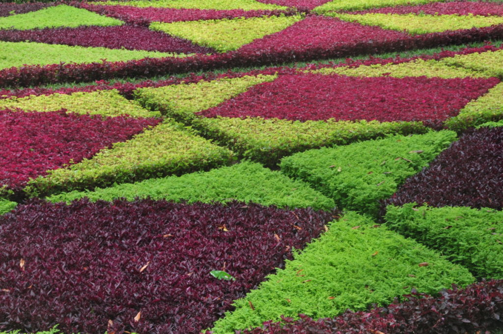 Jardim Botanico da Madeira