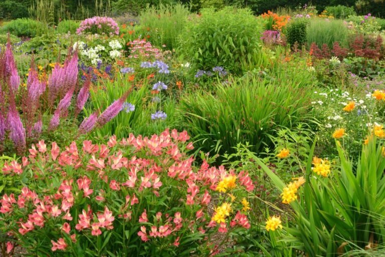 Kwekerij de Hessenhof bezoeken? Boek nu bij Garden Tours