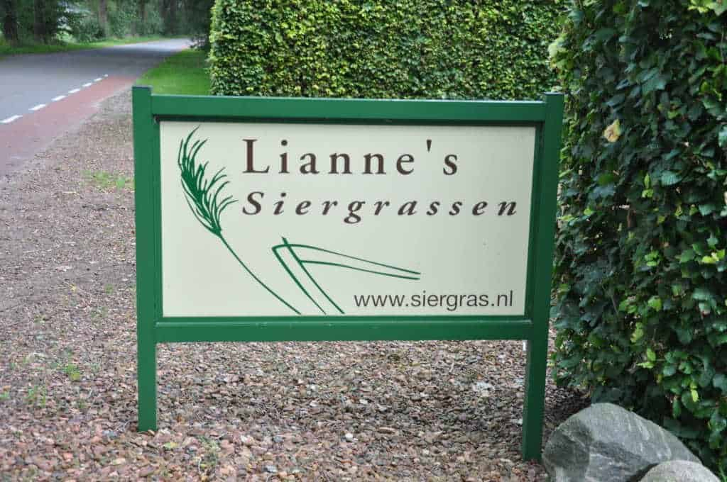 Lianne’s Siergrassen