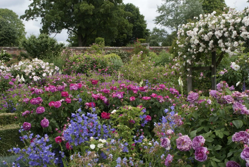 Tuinreis naar Hampshire