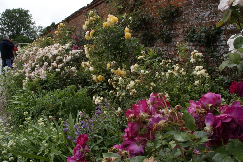 Tuinreis naar Hampshire