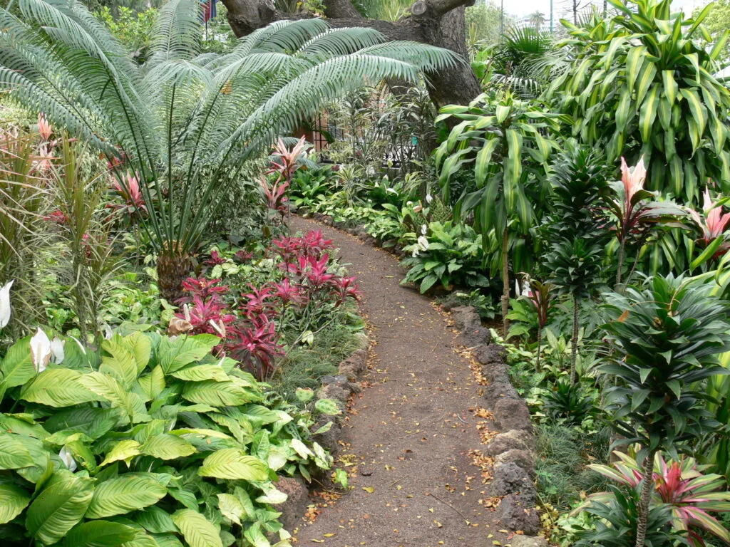 Tuinreis naar Madeira