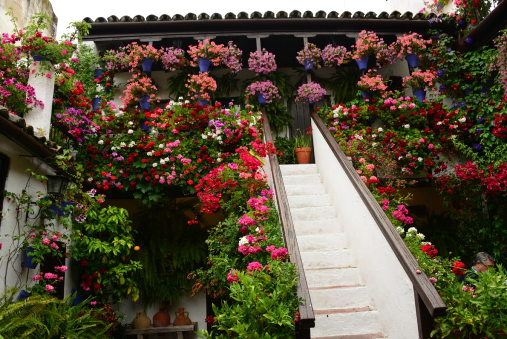 Patiotuinen in Córdoba