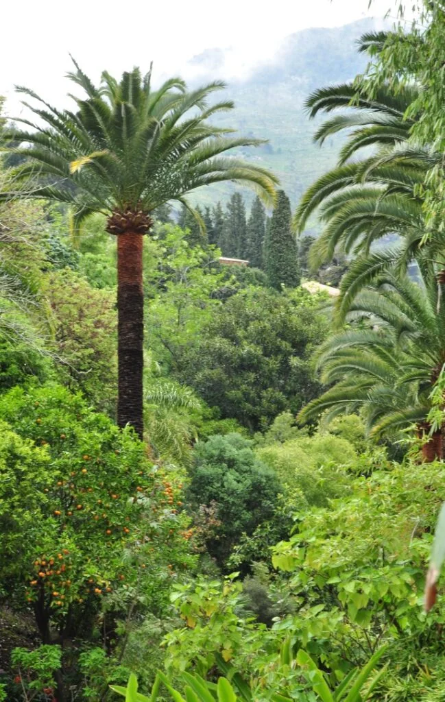 Côte d’Azur