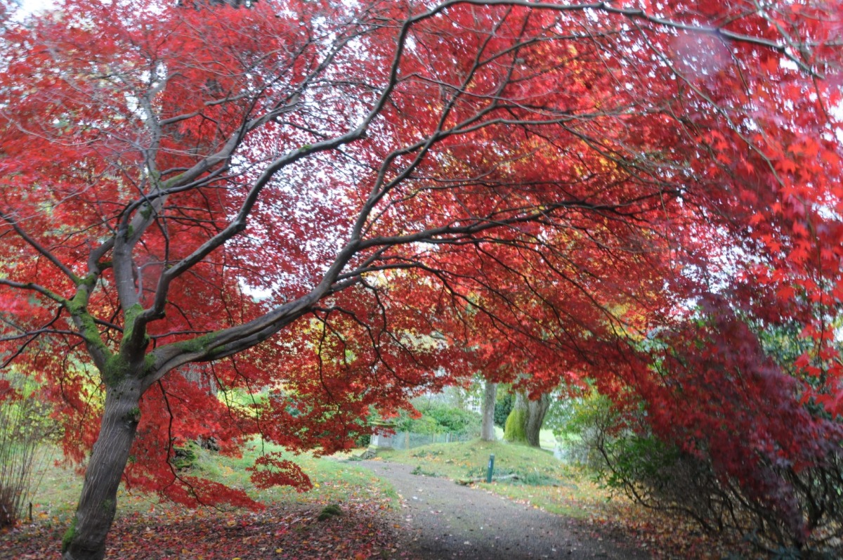 Schotland In Herfstkleuren Vanaf Garden Tours