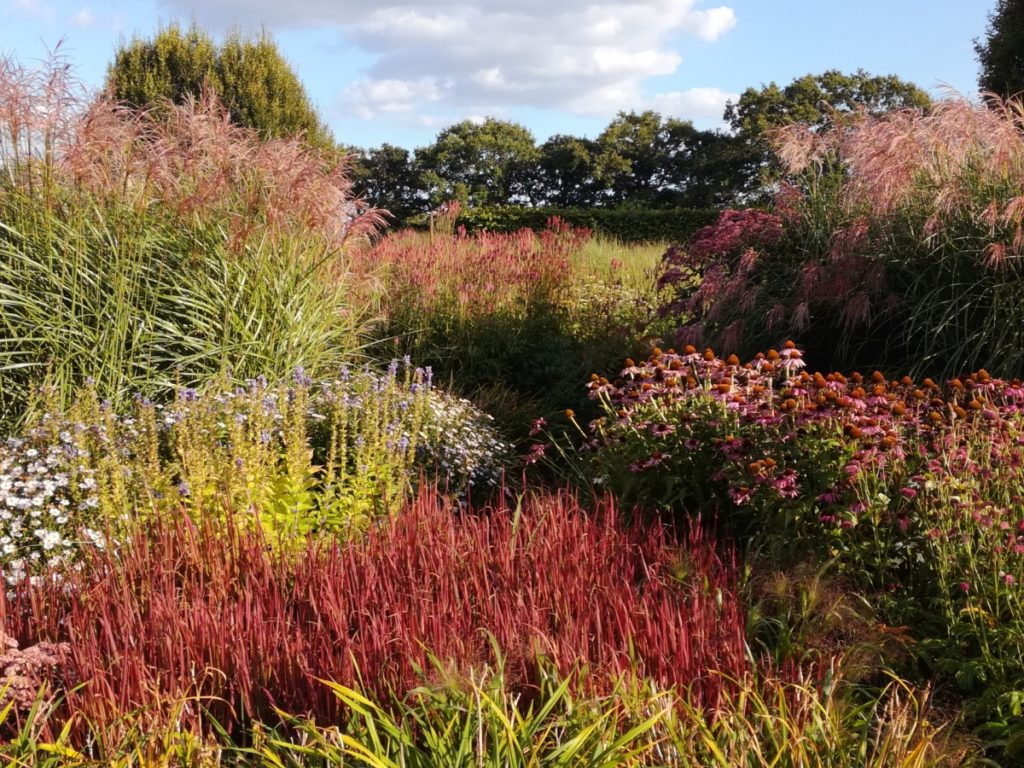 Sussex Prairies