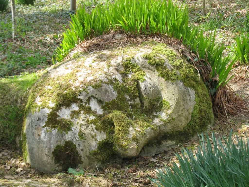 The Lost Garden of Heligan