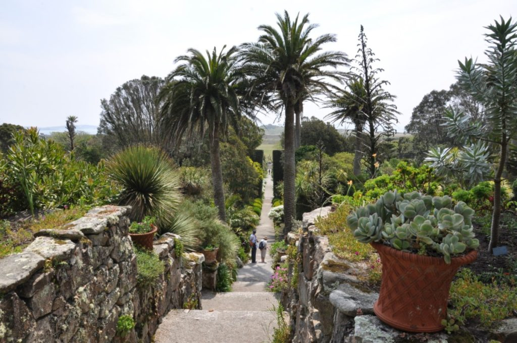 Tresco Abbey Garden