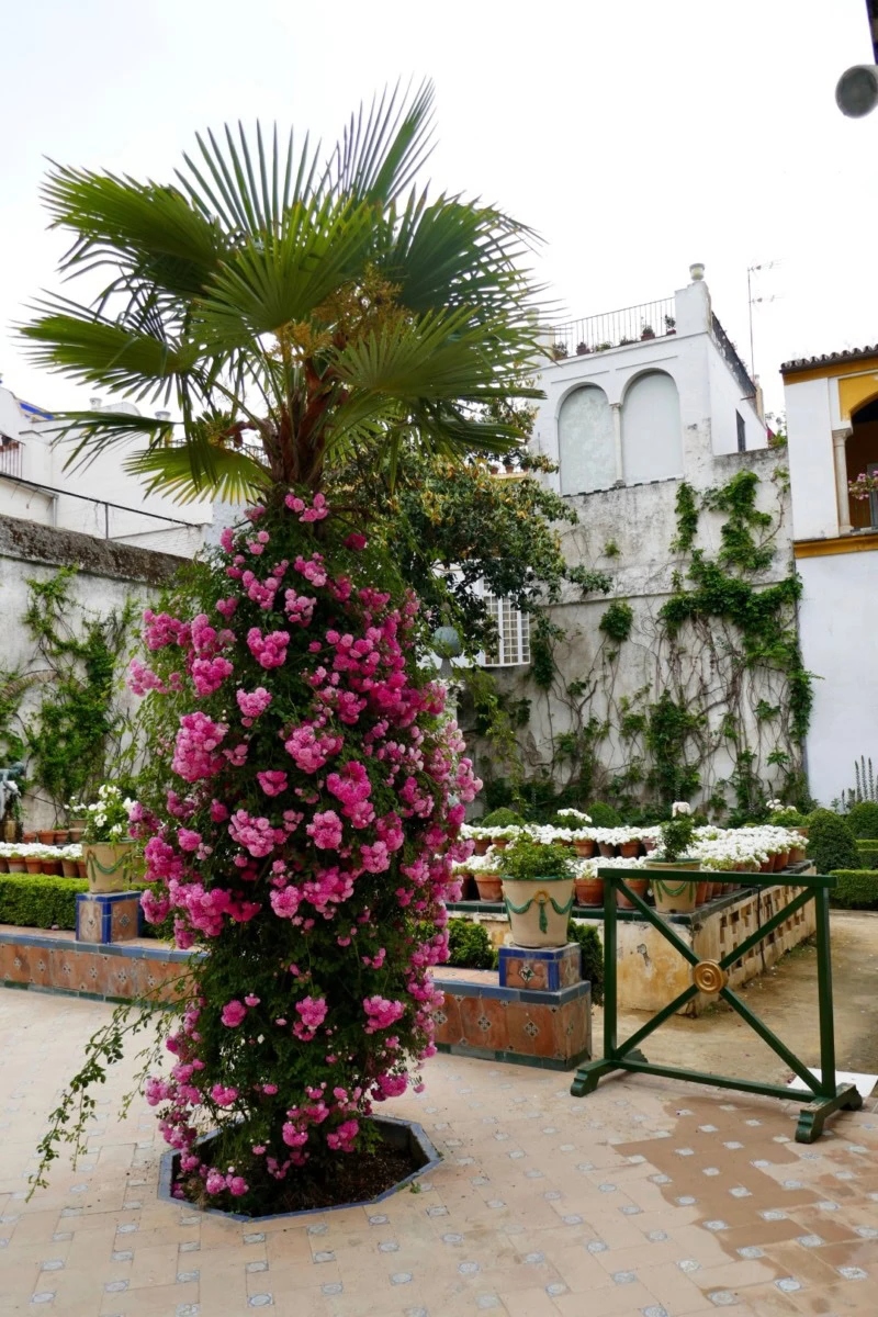 Tuinreis naar Andalusië