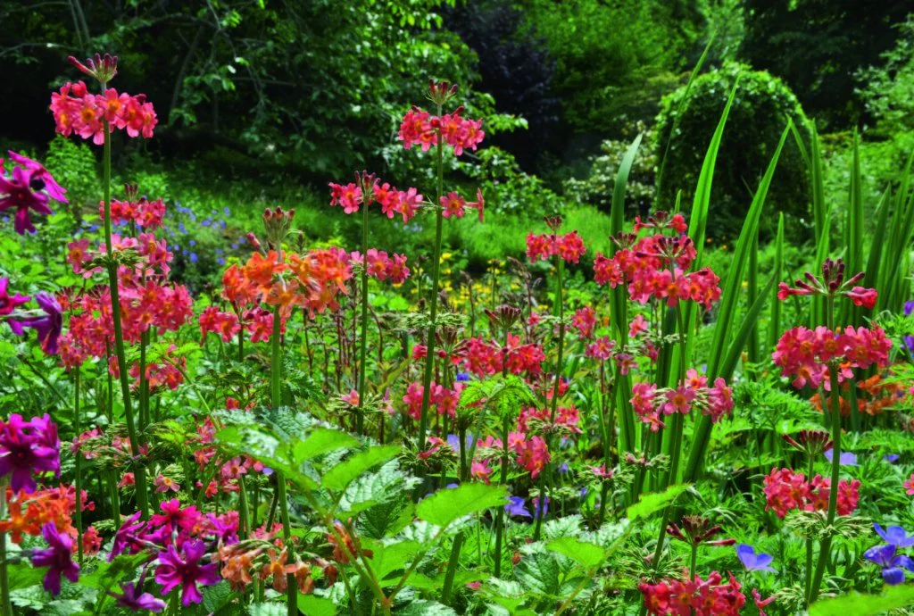 Tuinreis naar Devon