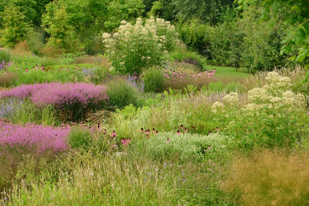 Vlinderhof