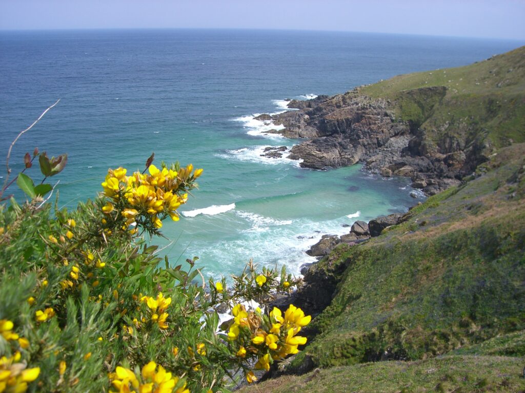 Tuinreis naar Cornwall